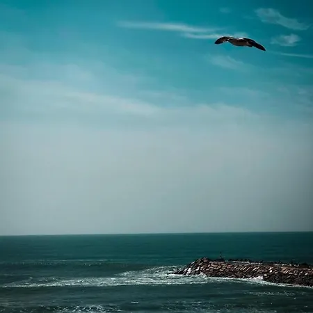 Terra Da Eira Εξοχικό σπίτι Μάφρα